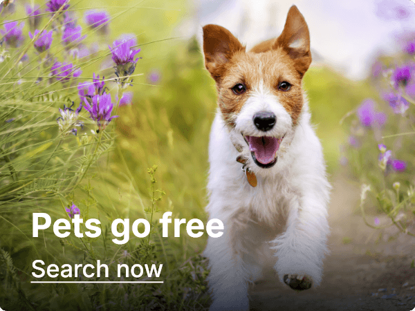 Pets go free