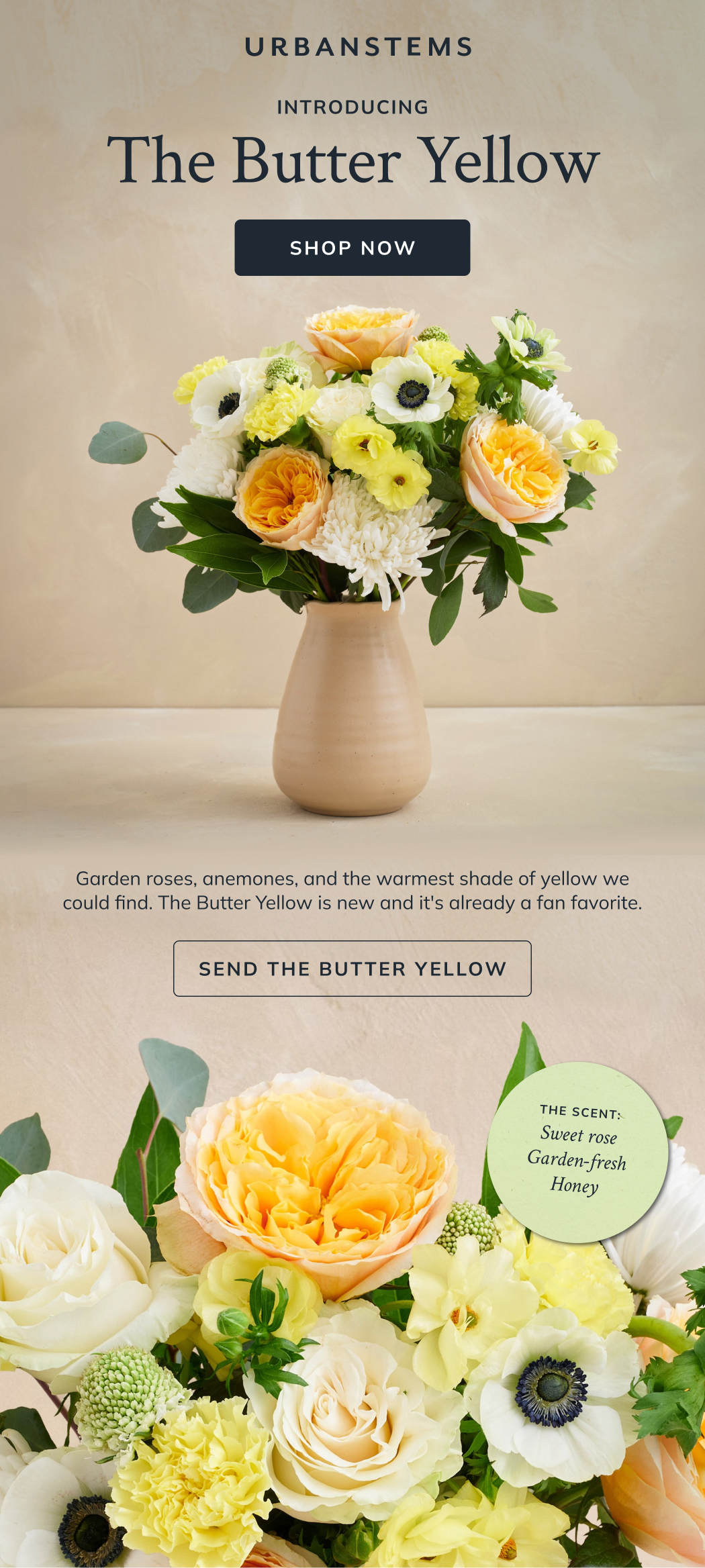 The Butter Yellow