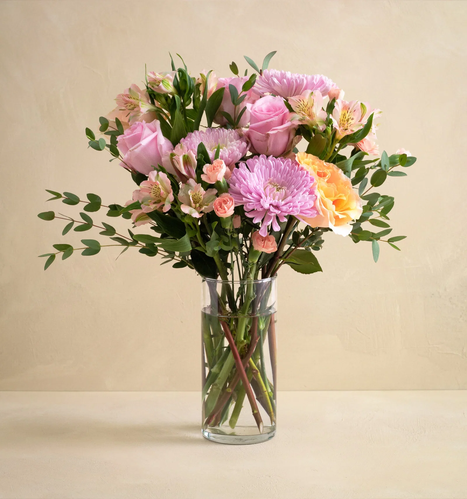 Image of The Primavera