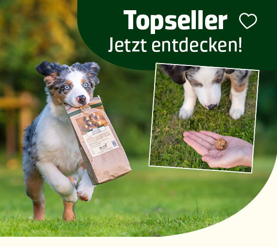 Topseller & Lieblingsprodukte unserer Kunden