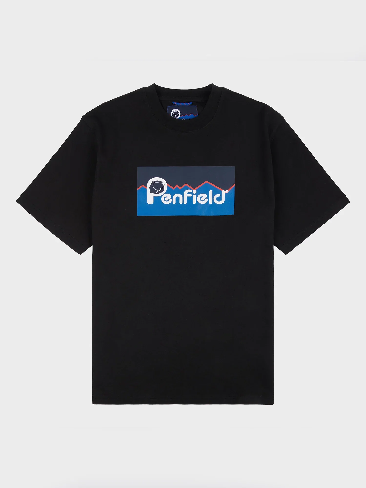 Image of Original Large Logo T-Shirt in Black