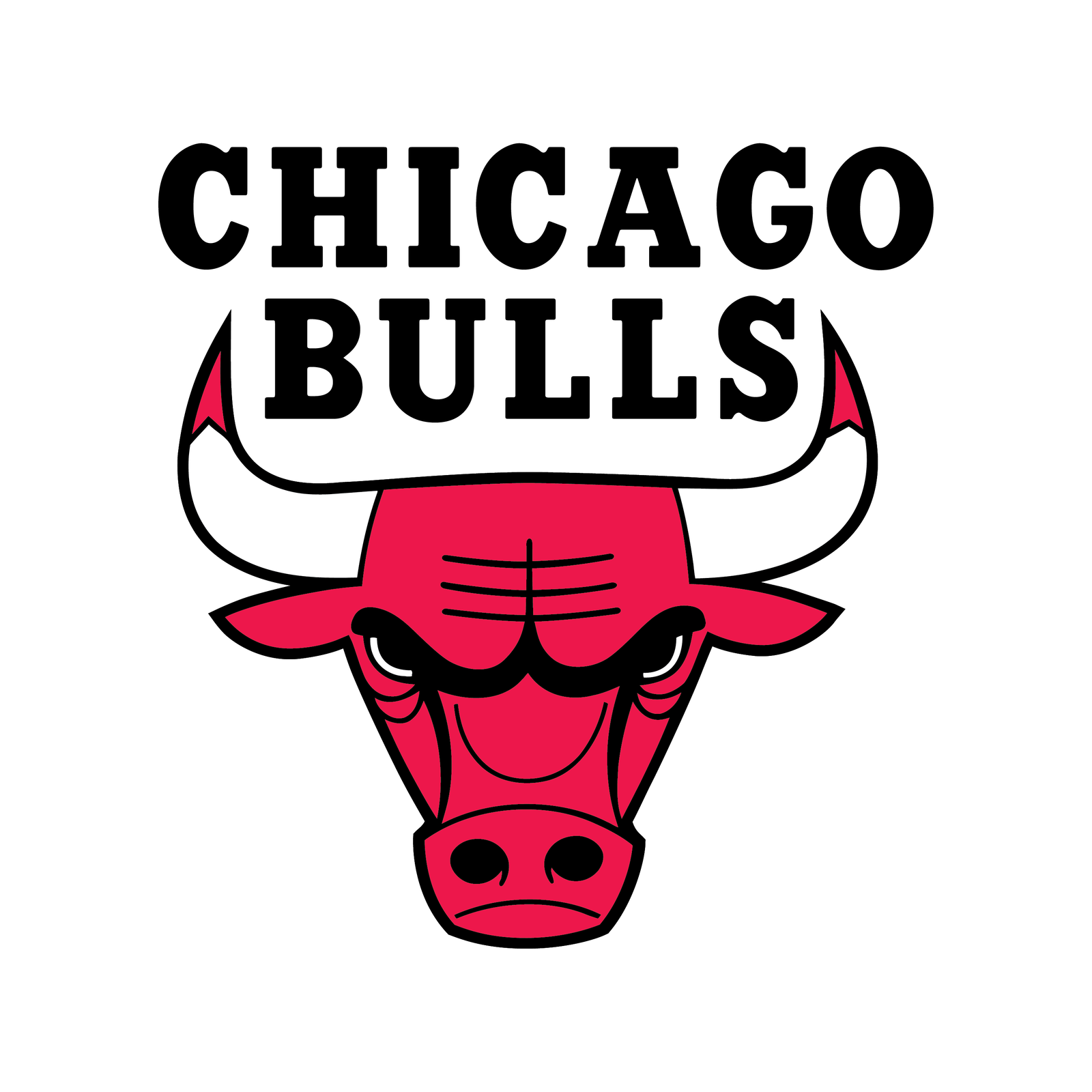 Chicago Bulls