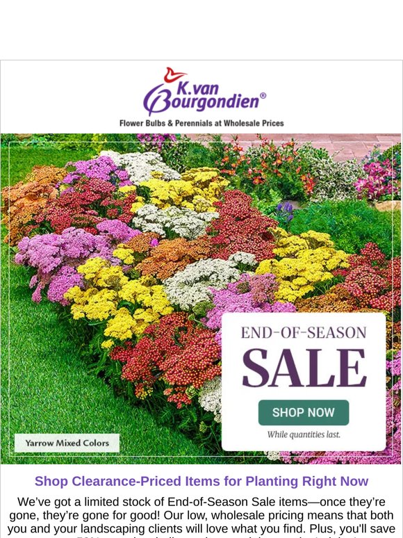 Say ‘Yes’ to 50% Savings on Select Spring Items