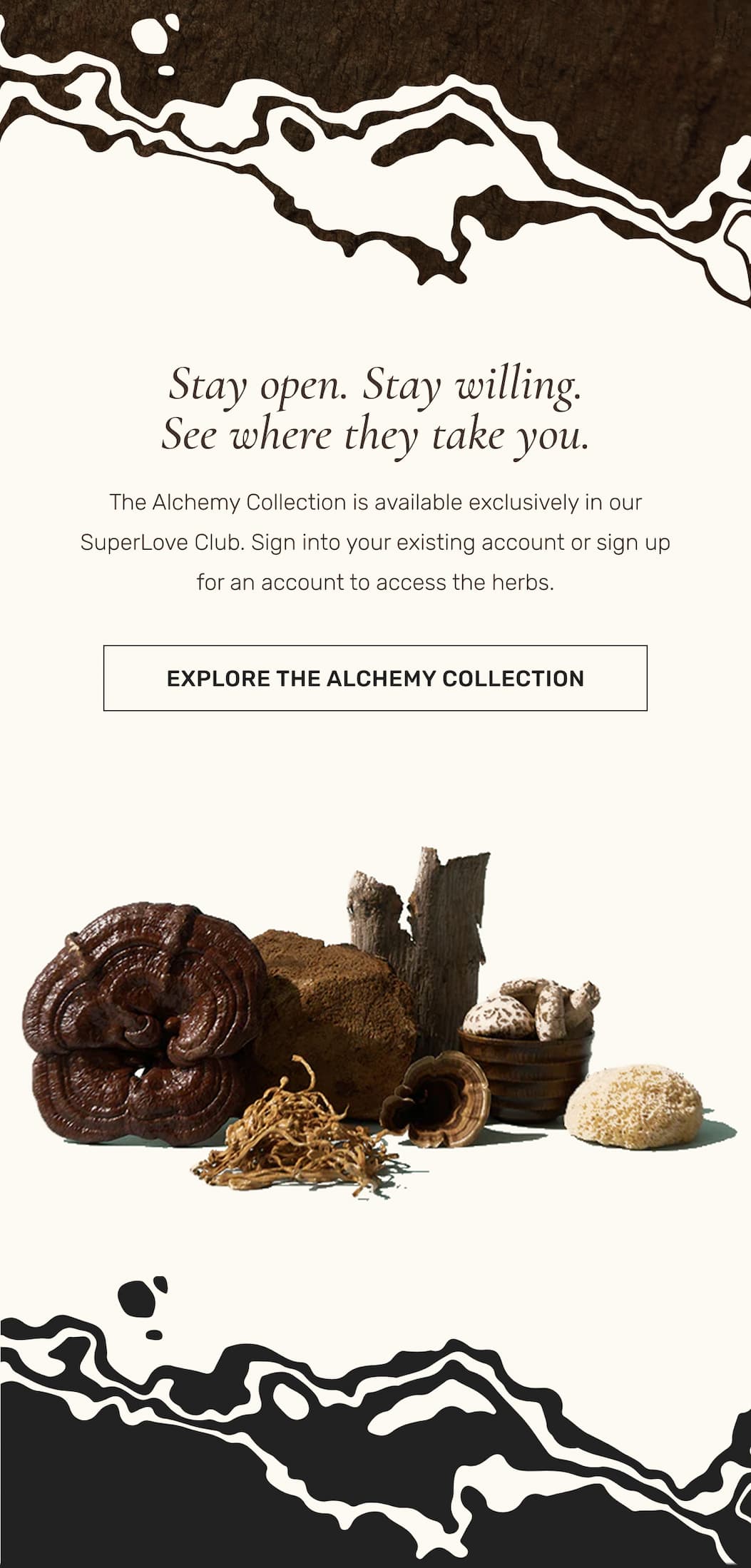 Stay open. Stay willing. See where they take you. | EXPLORE THE ALCHEMY COLLECTION