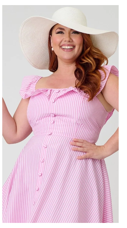 Magnolia Place Plus Size Pink Stripe Barbara Swing Dress