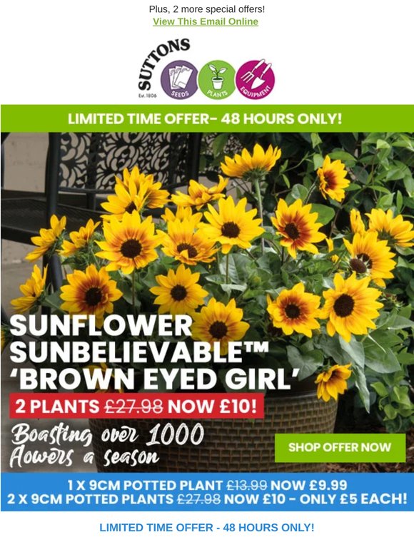 2 SunBelievable pots for £5 each!