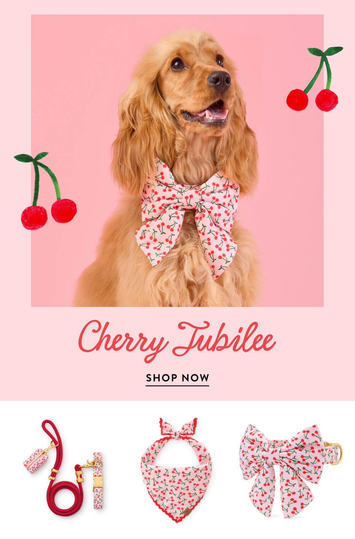 Shop Cherry Jubilee