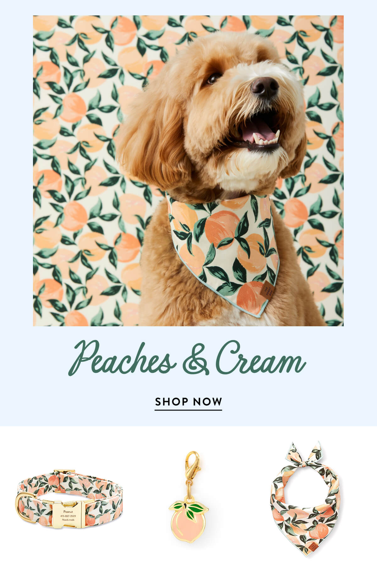 Shop Peaches & Cream