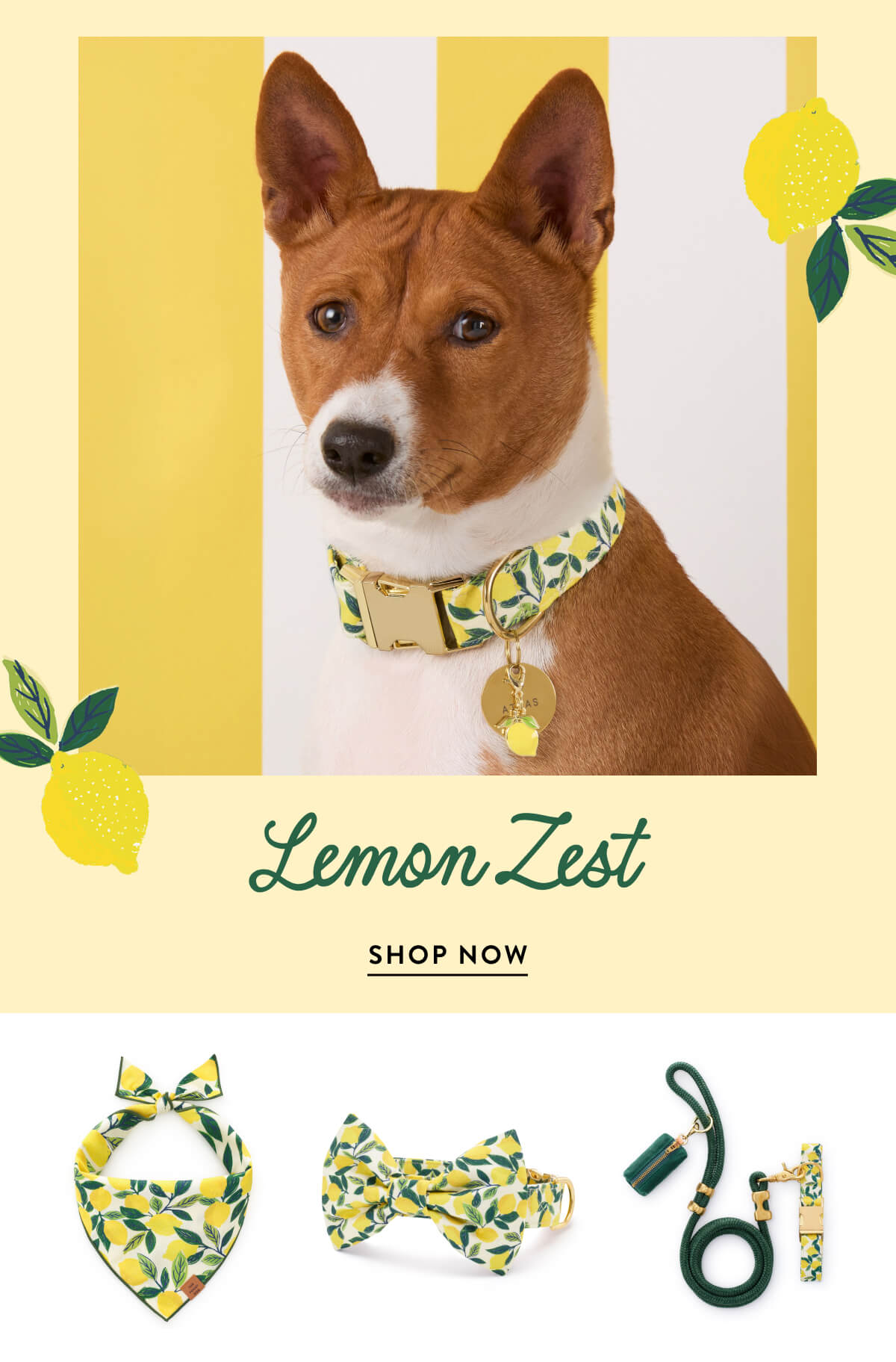 Shop Lemon Zest