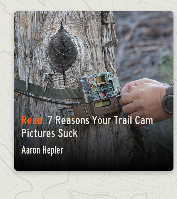 Read: 7 reasons your trail cam pictures suck