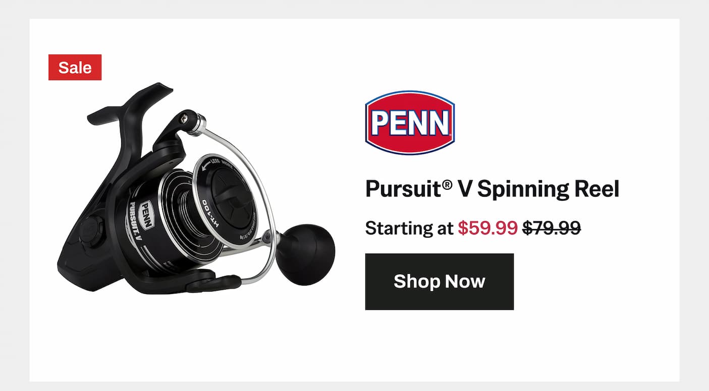 Pursuit V Spinning Reel