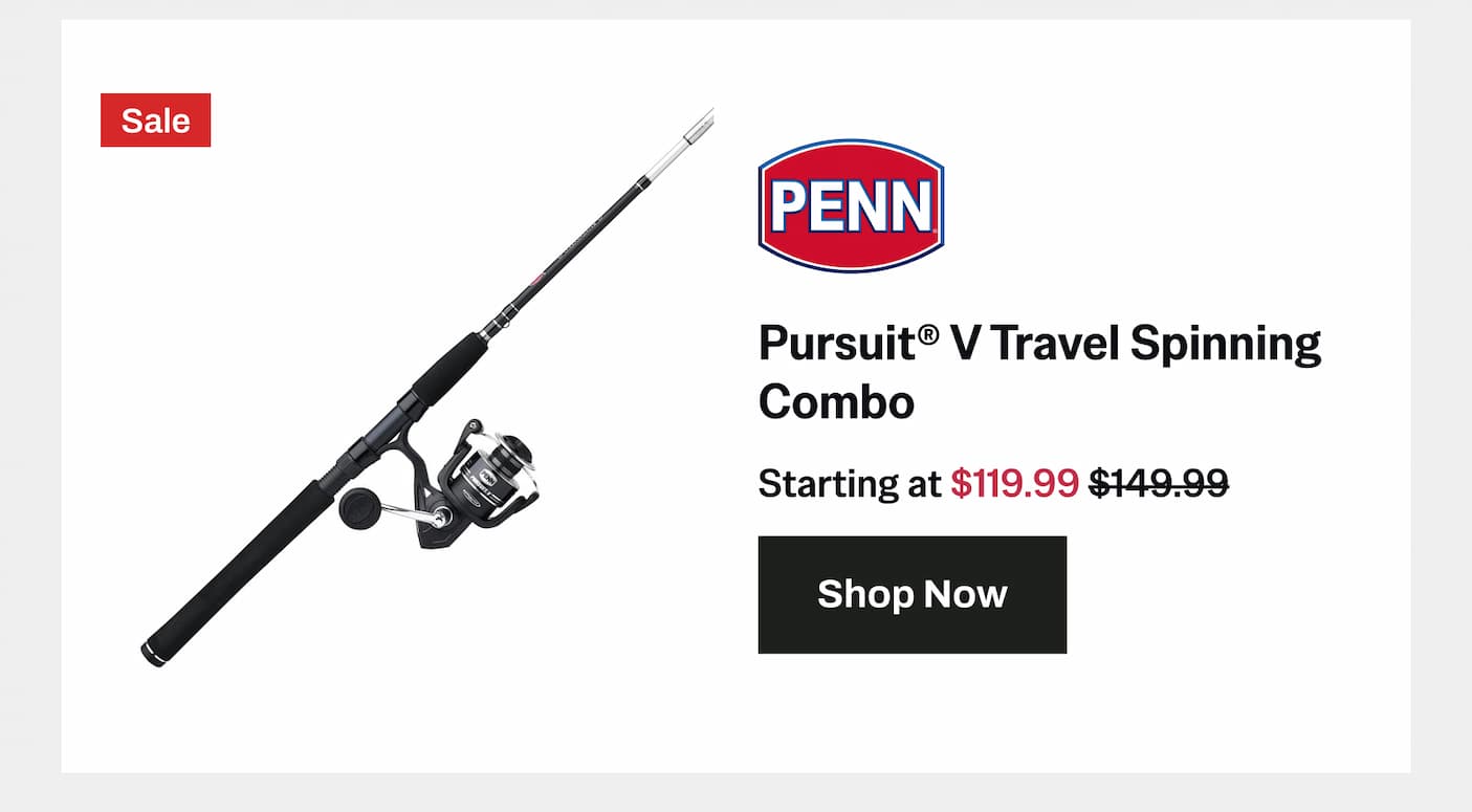 Pursuit V Travel Spinning Combo