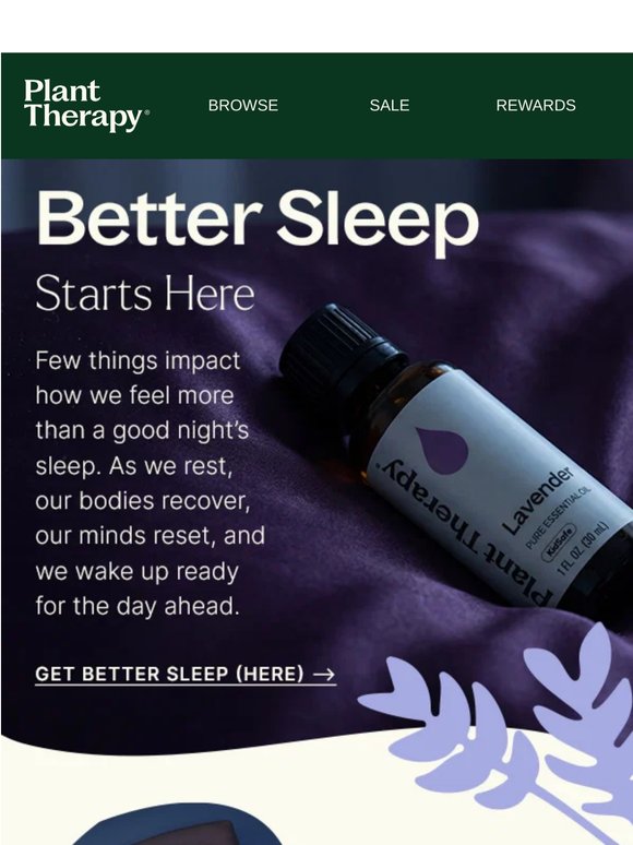 Sweet Dreams Start Here! 💤