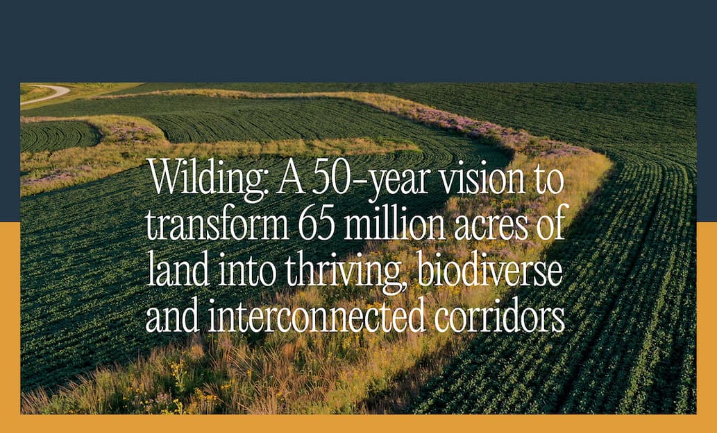 Wildling transforming land into biodiverse corridors