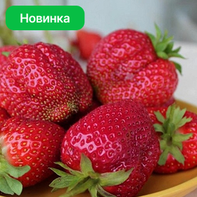 Карточка.png