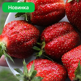 Карточка.png