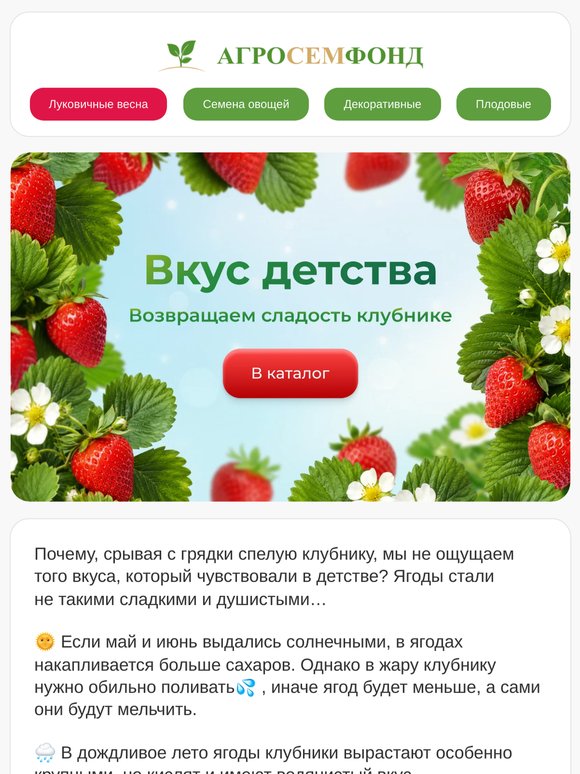 Вкус детства🍓, или чем подкормить клубнику?🔥🔥ВЫГОДА -68% НА КАРТОФЕЛЬ И  ВЕСЕННИЕ ЛУКОВИЧНЫЕ🔥🔥