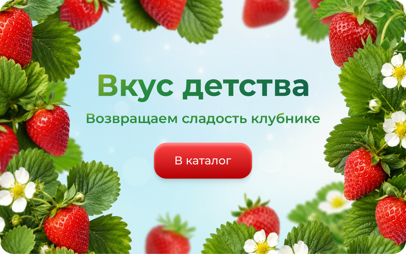 Frame 1367935284.png