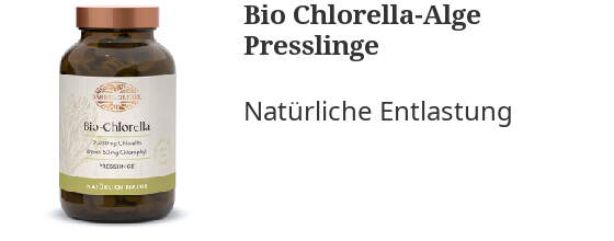 Unsere Vorschläge für Sie