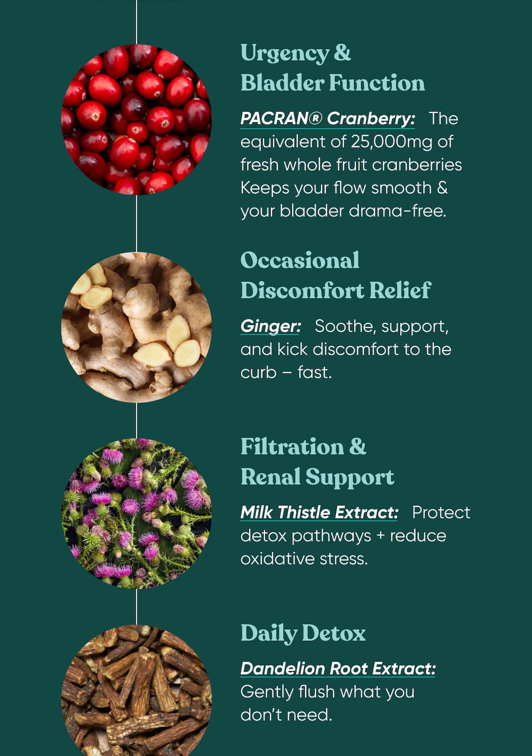 Urgency & Bladder Function, Occasional Discomfort Relief, Filtration & Renal Support, Daily Detox