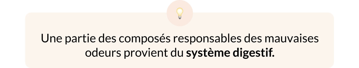 Une partie des composés responsables des mauvaises odeurs provient du système digestif.