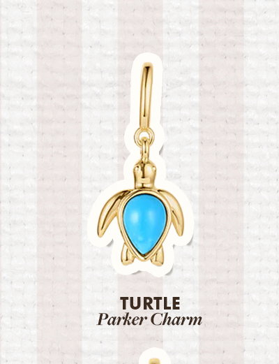 Turtle Parker Charm