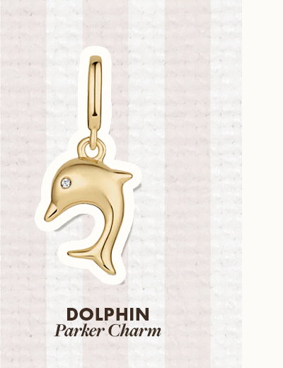Dolphin Parker Charm