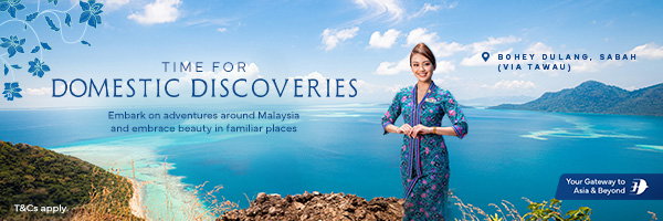 Domestic Discoveries