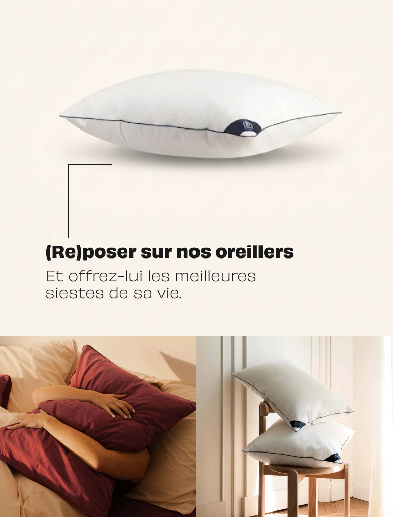Chargement en cours...