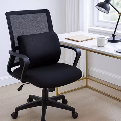 Lumbar Support Cushion For Chair with High-Density Memory...