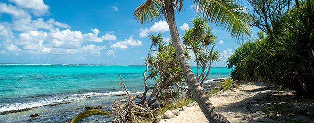Vanuatu & New Caledonia
