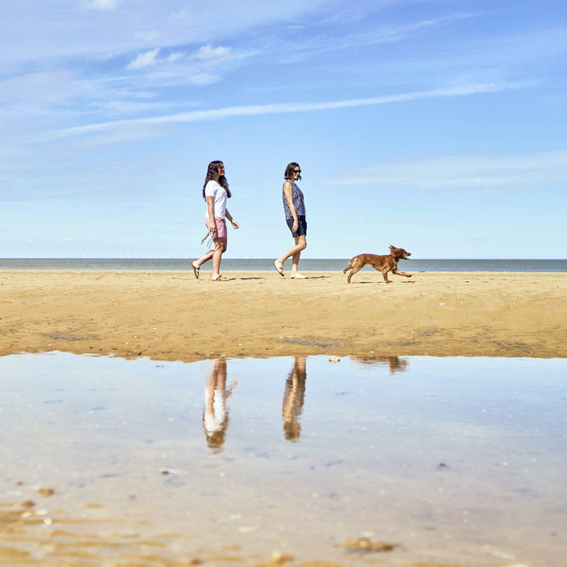 Your Early Summer Favourites
