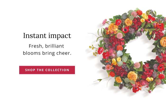 Shop the Mazie Meadow Collection