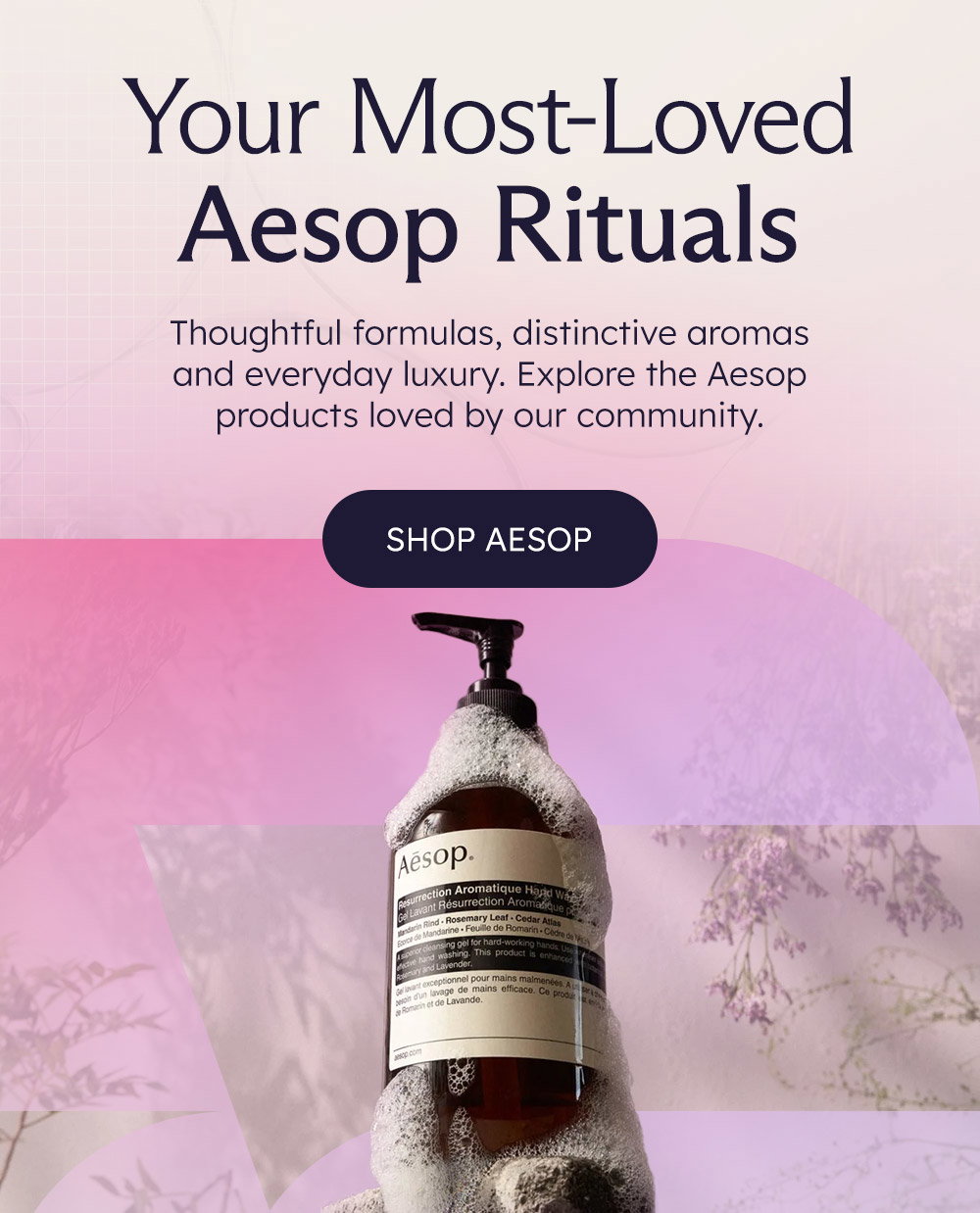 Your Most-Loved Aesop Rituals