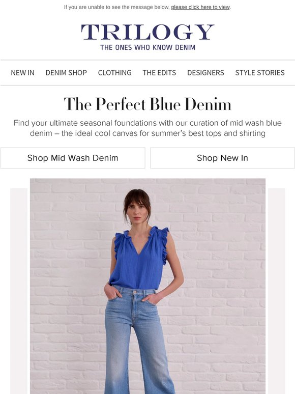 The Perfect Blue Denim