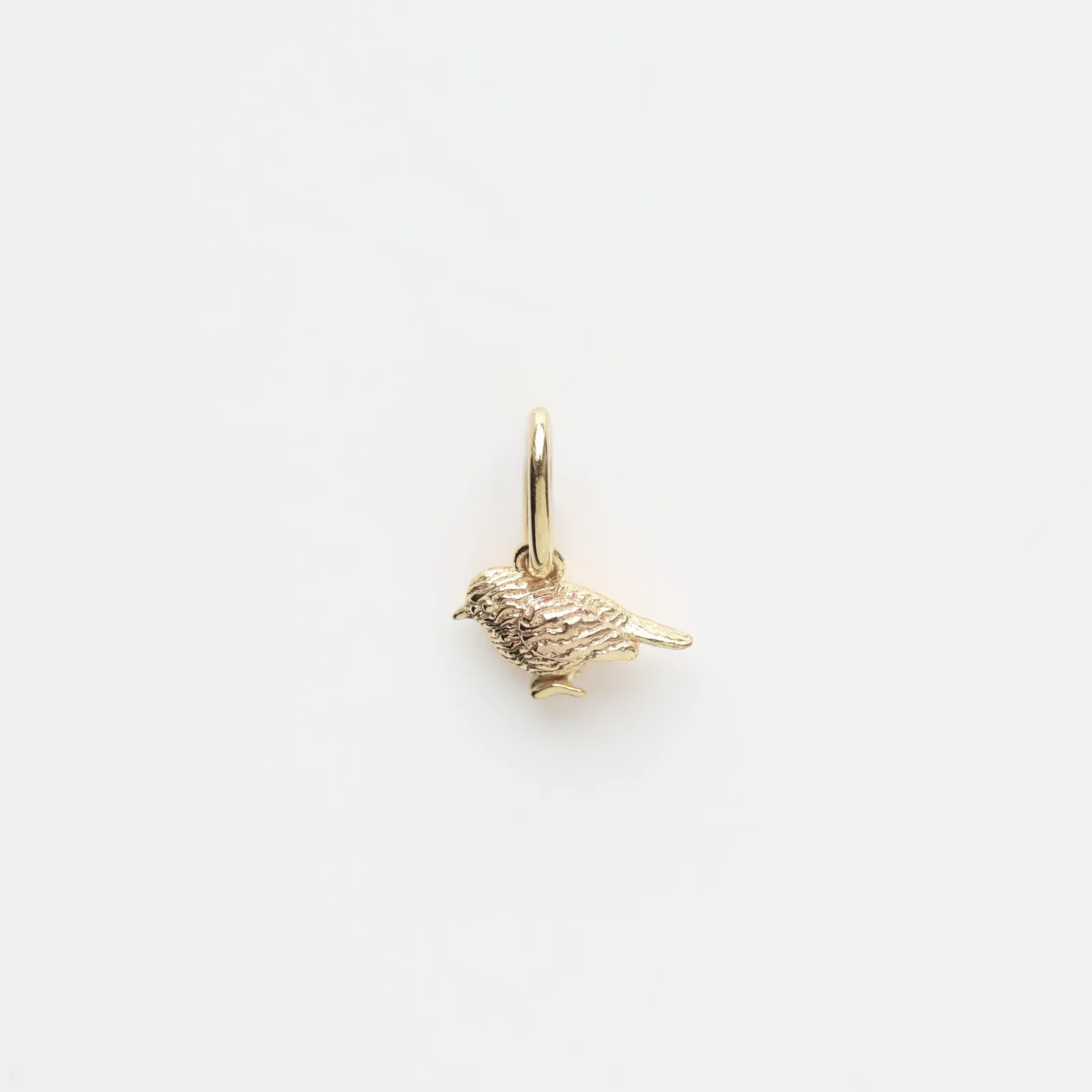 Image of Treasured Robin Charm