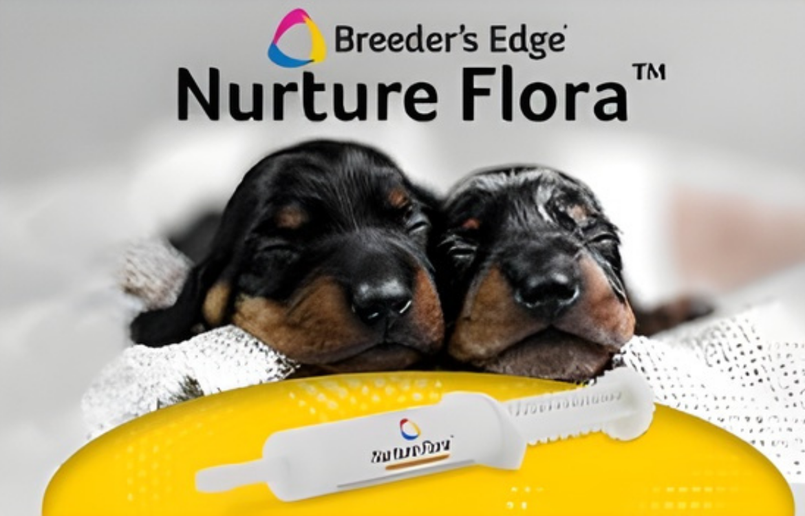 Nurture Flora