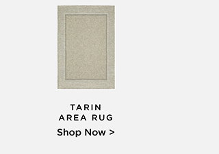 Tarin
Area Rug - Shop Now >