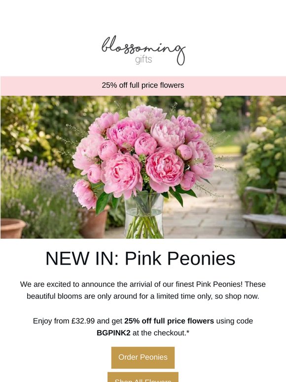 Pink Peonies Have Returned! 🌺
