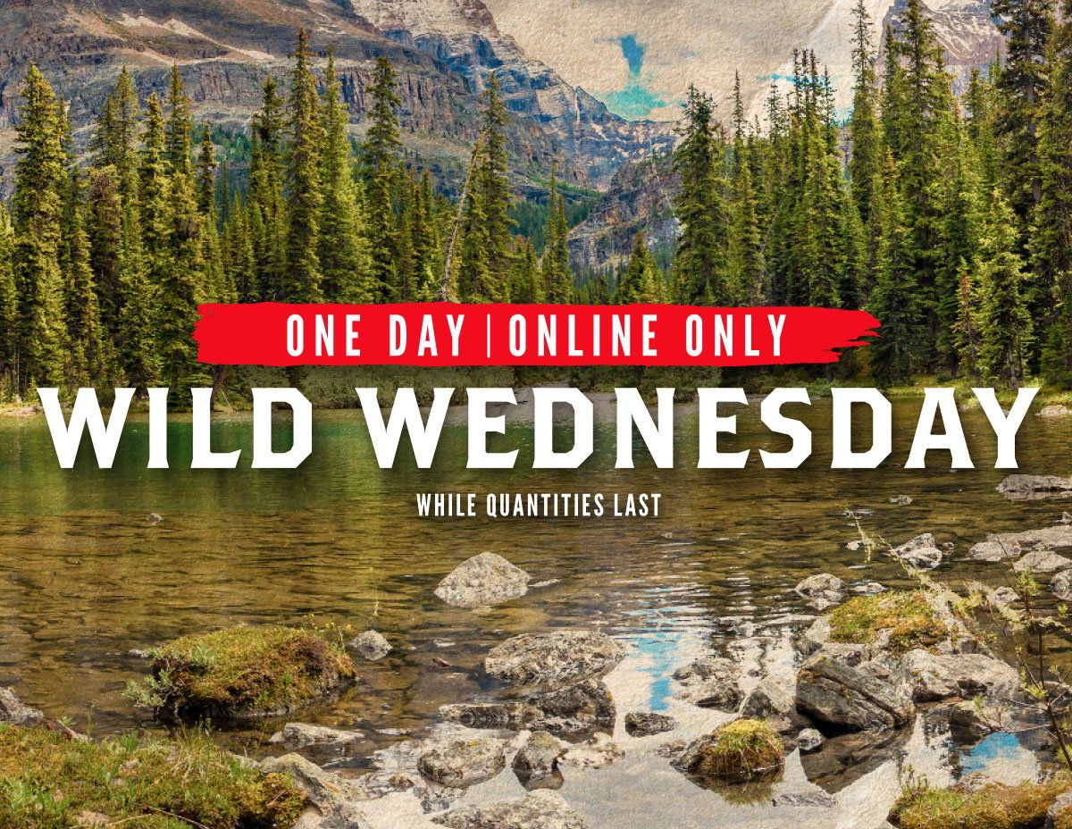 Wild Wednesday
