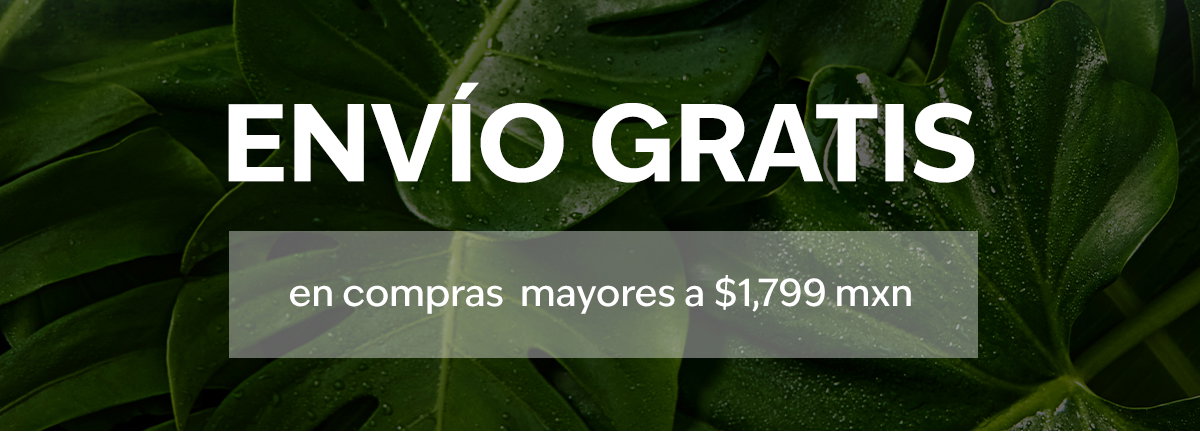 ENVÍO GRATIS