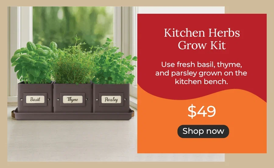 Kitchen Herbs Grow Kit