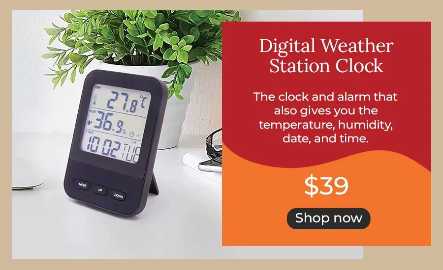 Digital Weather Station Clock