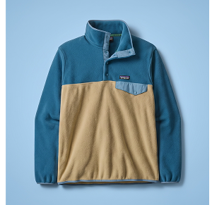 Mens Lightweight Synchilla Snap-T Fleece