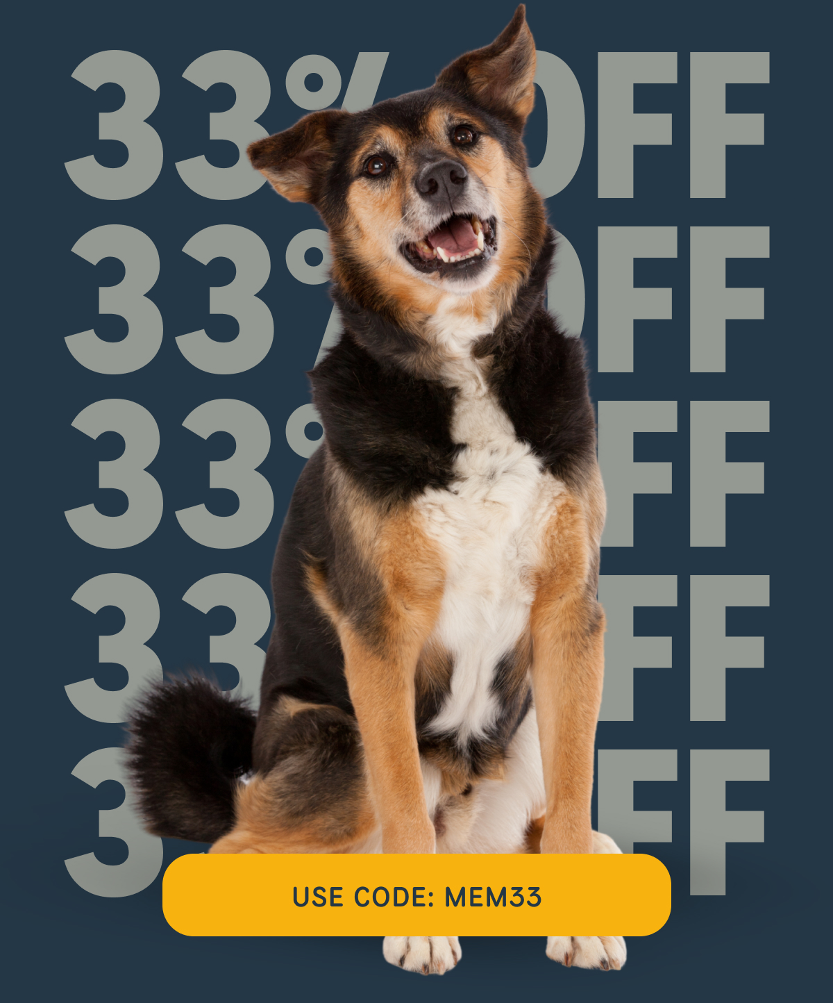 33% OFF USE CODE: MEM33