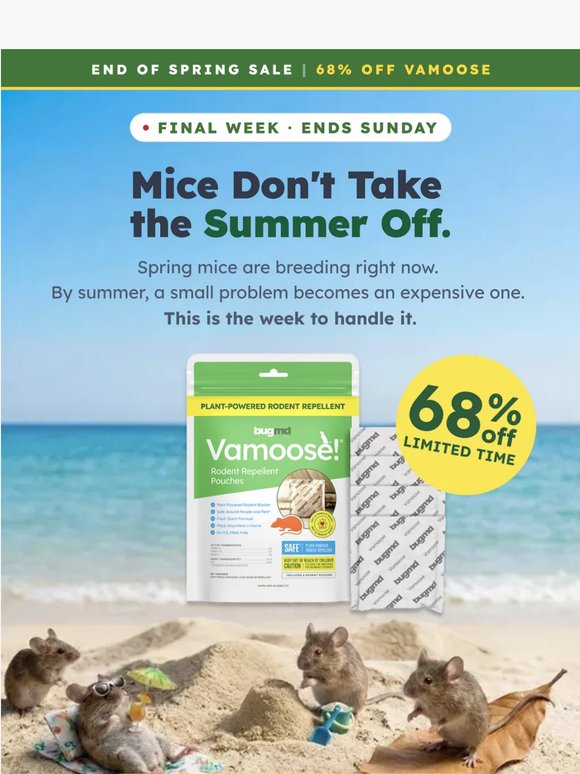 68% off ends this week