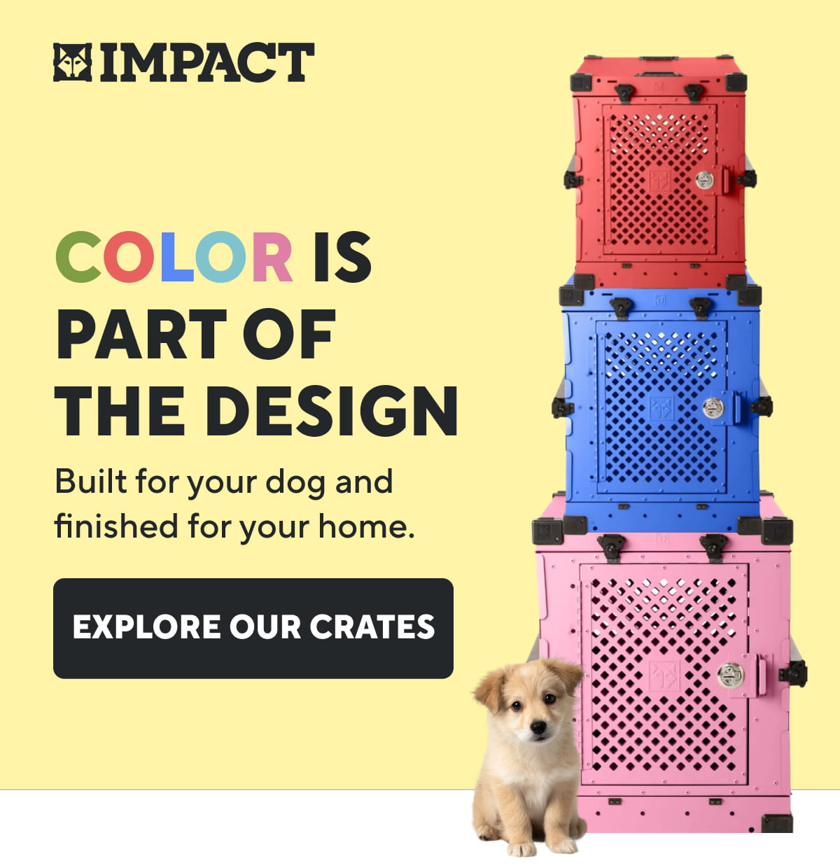 Color Is Part Of The Design | Explore Our Crates