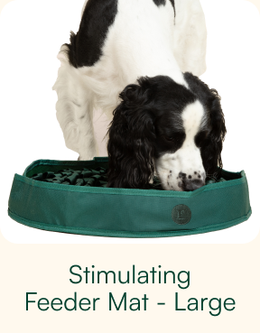Stimulating Feeder Mat