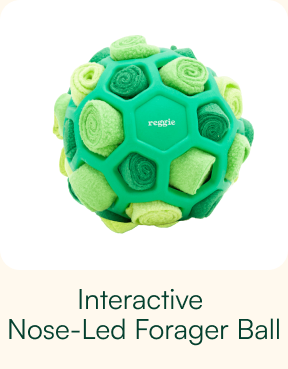 Forager Ball For Dogs