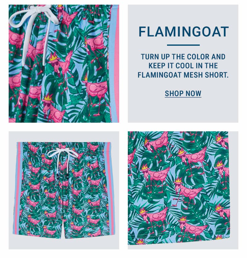 Shop FlaminGOAT Mesh Shorts